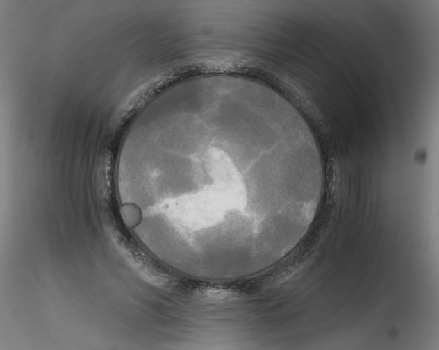 X0000114590590200911301402