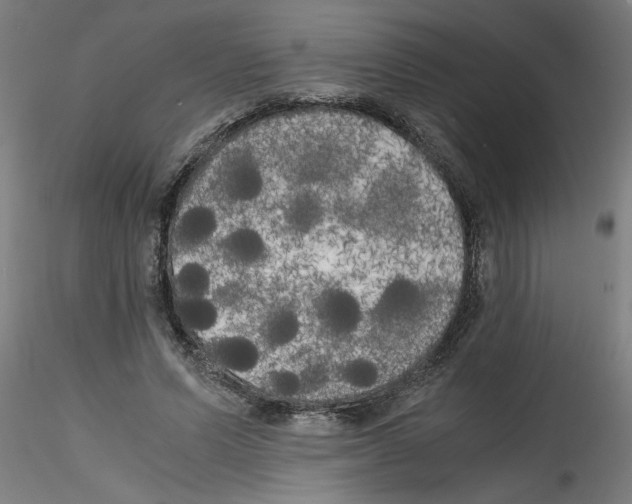 X0000114590591200911301402