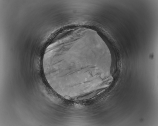 X0000114590592200911301402