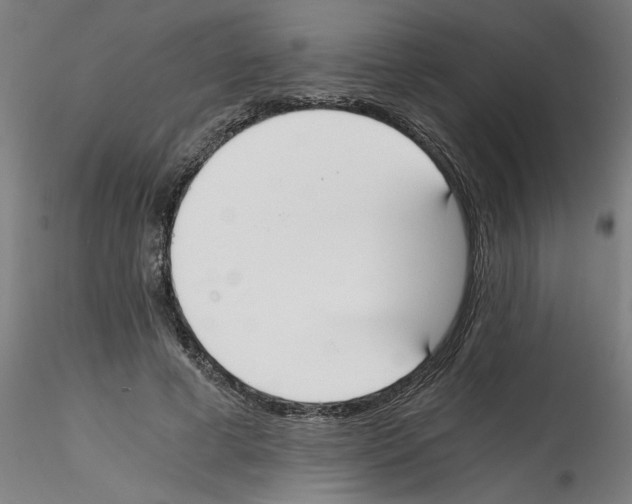 X0000114590593200911301402