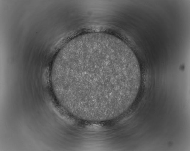 X0000114590594200911301402