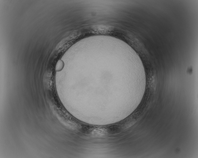 X0000114590599200911301401