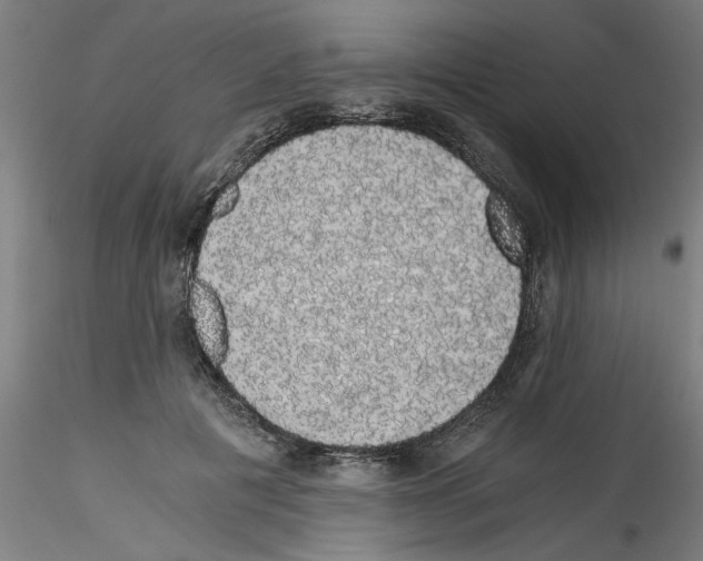 X0000114590601200911301401