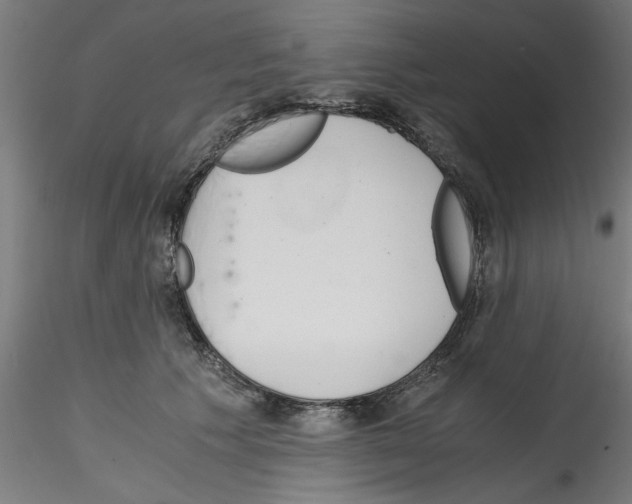 X0000114590609200911301401