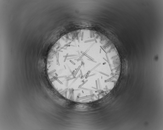 X0000114590614200911301401
