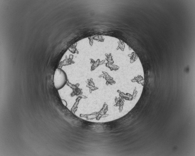 X0000114590615200911301401