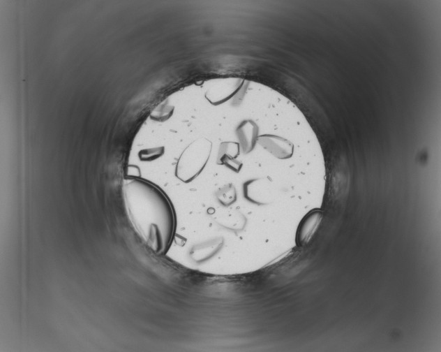X0000114590620200911301401
