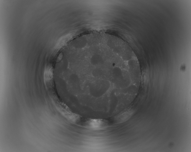 X0000114590623200911301401