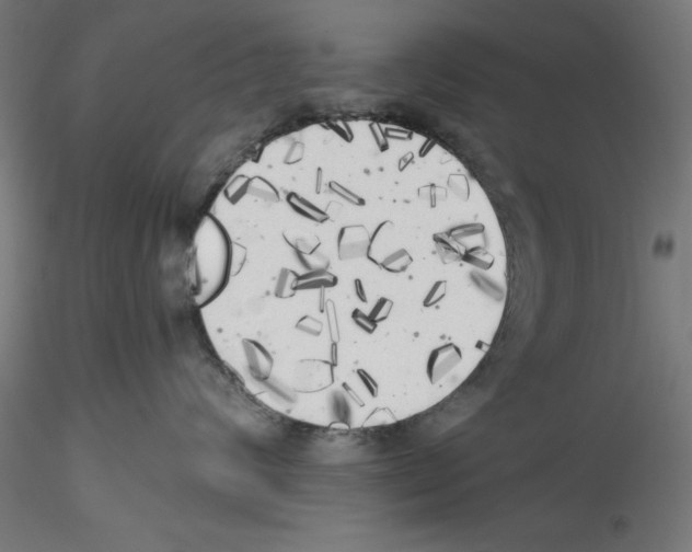 X0000114590624200911301401