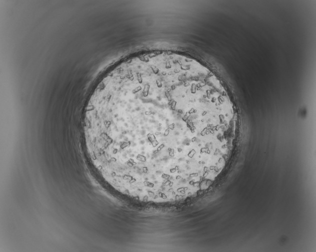 X0000114590625200911301400