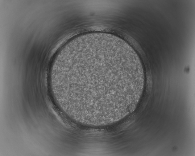 X0000114590626200911301400