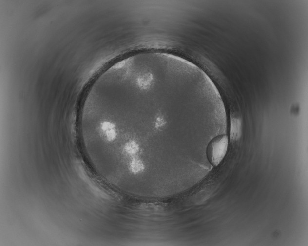 X0000114590627200911301400