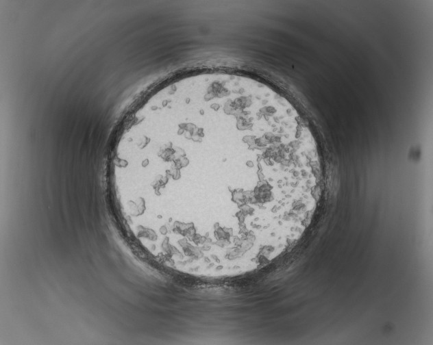 X0000114590629200911301400