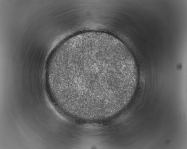 X0000114590630200911301400