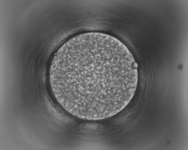 X0000114590631200911301400
