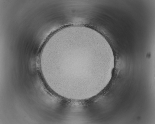 X0000114590632200911301400