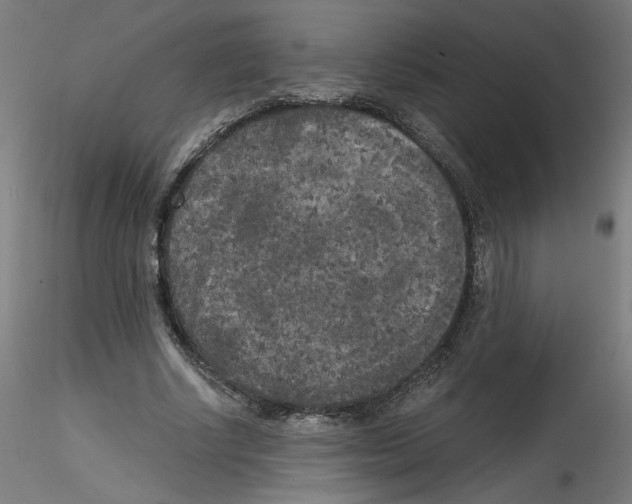 X0000114590634200911301400