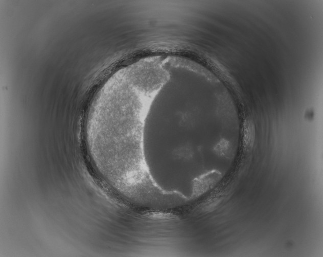X0000114590637200911301400