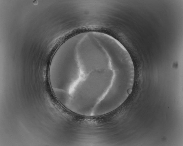 X0000114590640200911301400