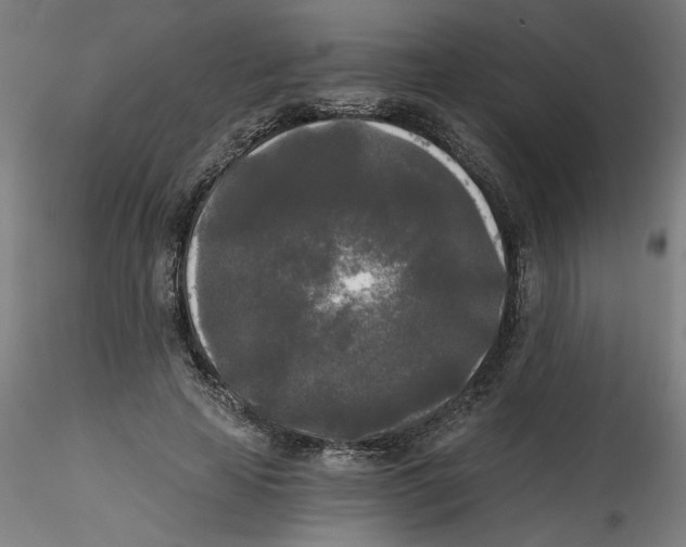 X0000114590641200911301400