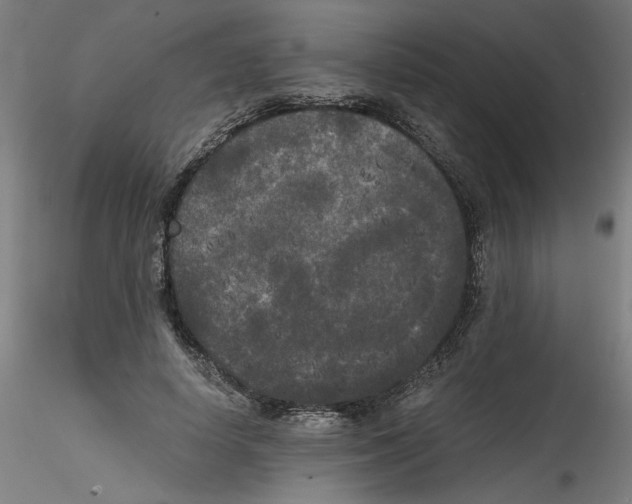 X0000114590642200911301400