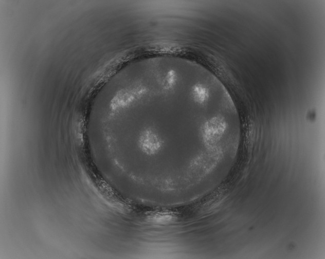 X0000114590643200911301400