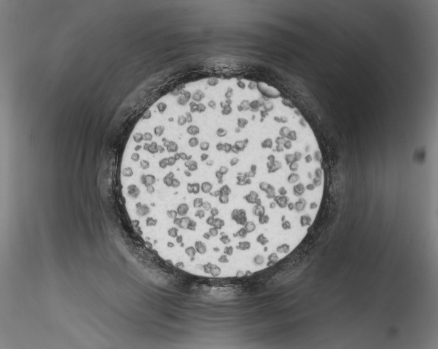 X0000114590645200911301400