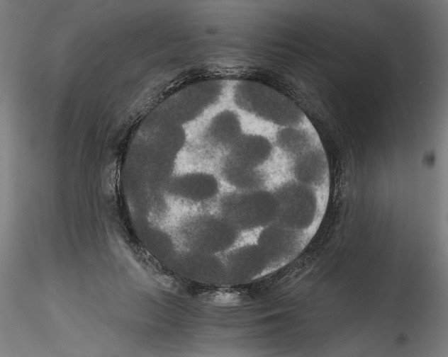 X0000114590647200911301400