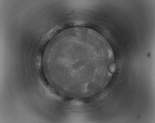 X0000114590648200911301401
