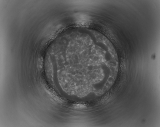 X0000114590649200911301401