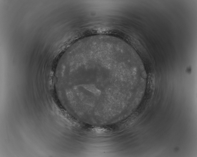 X0000114590650200911301401