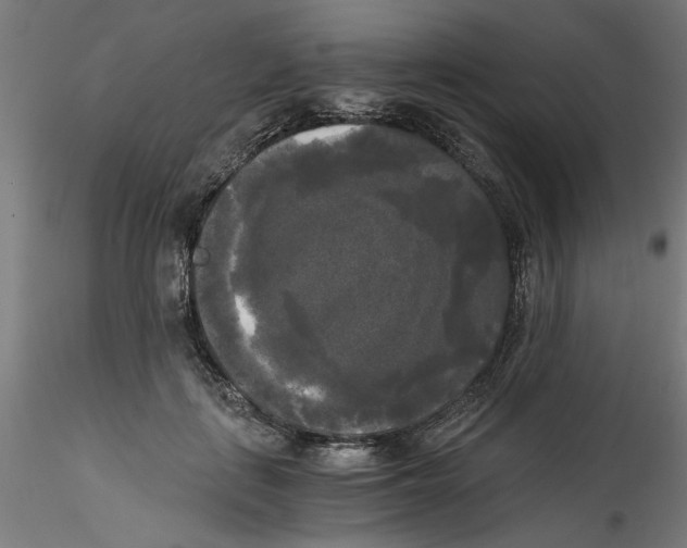 X0000114590651200911301401