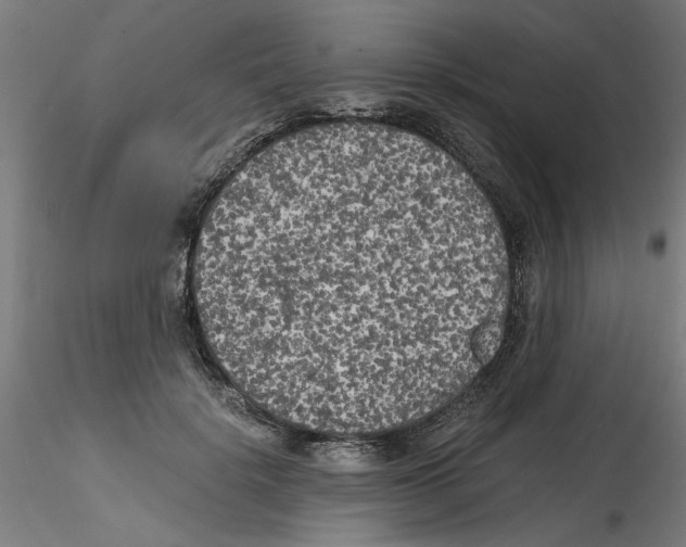 X0000114590652200911301401