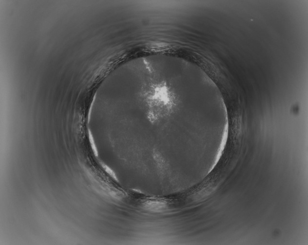 X0000114590653200911301401
