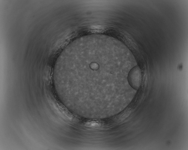 X0000114590655200911301401