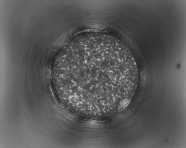 X0000114590657200911301401