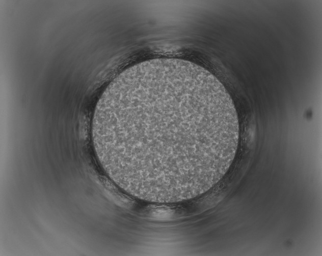 X0000114590658200911301401