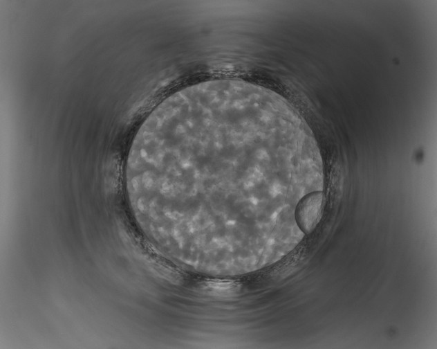 X0000114590659200911301401