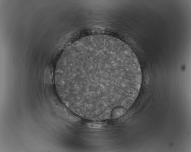 X0000114590661200911301401