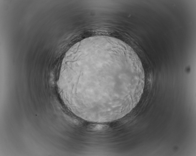 X0000114590663200911301401