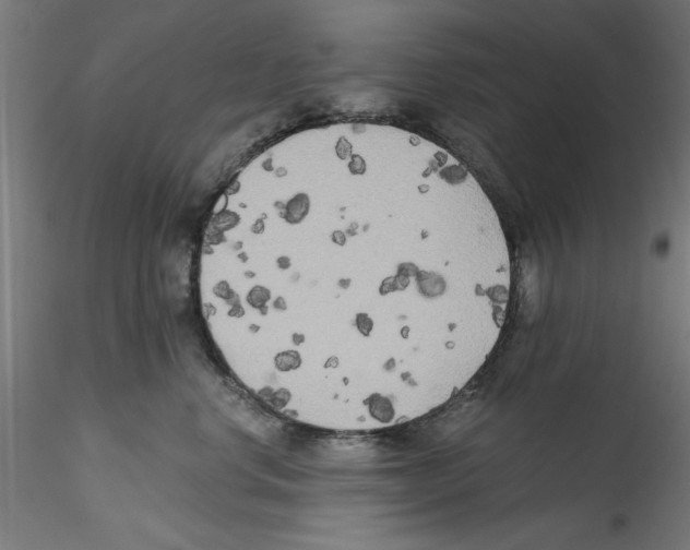 X0000114590668200911301401