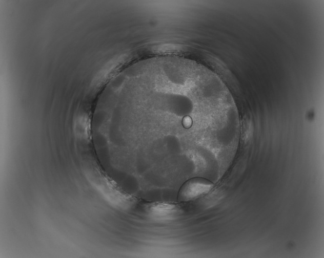 X0000114590669200911301401