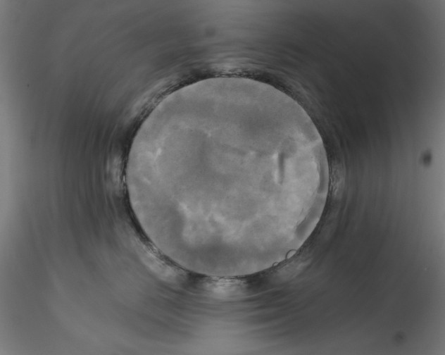 X0000114590670200911301401