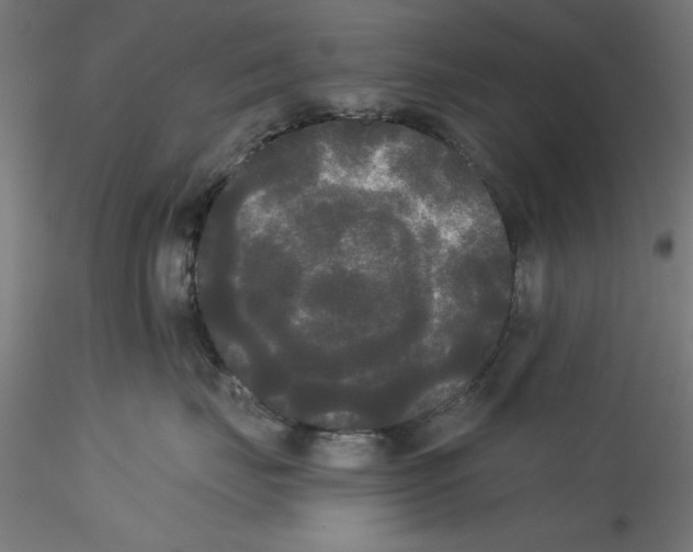 X0000114590671200911301401