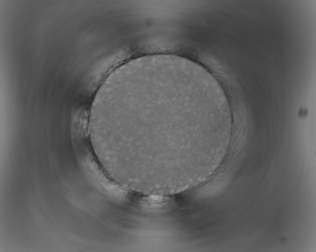 X0000114590672200911301401