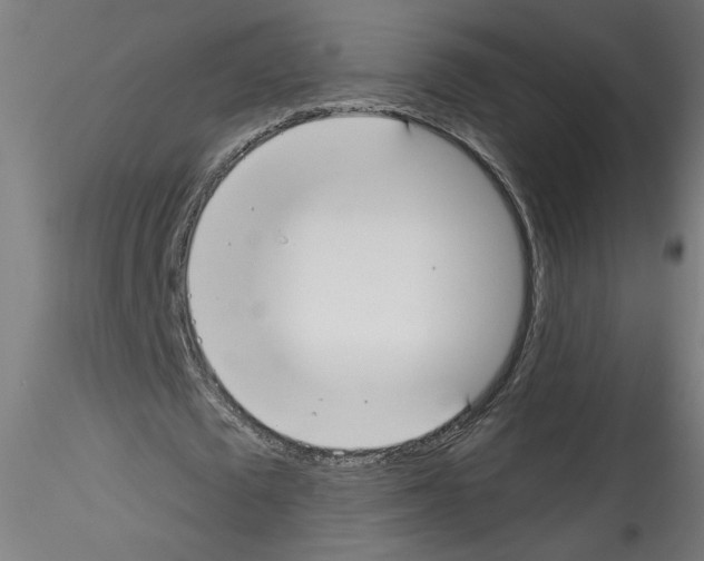 X0000114590673200911301400