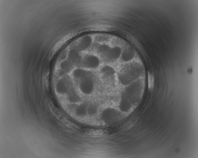 X0000114590675200911301400