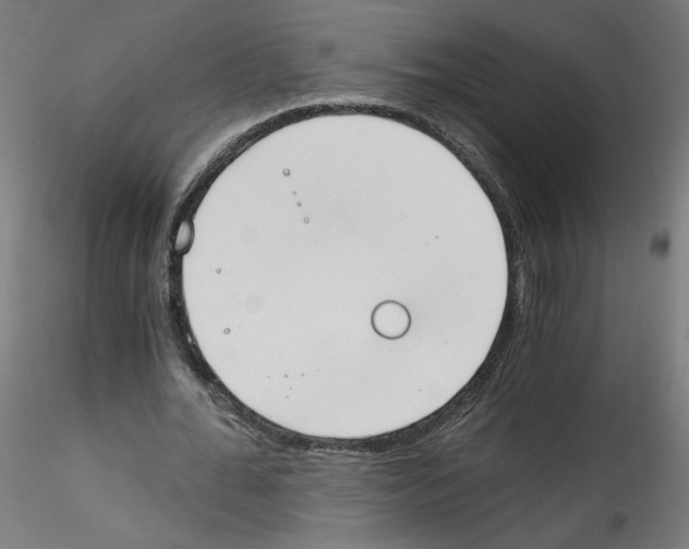 X0000114590676200911301400