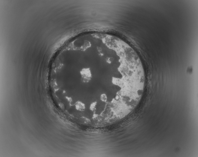 X0000114590679200911301400