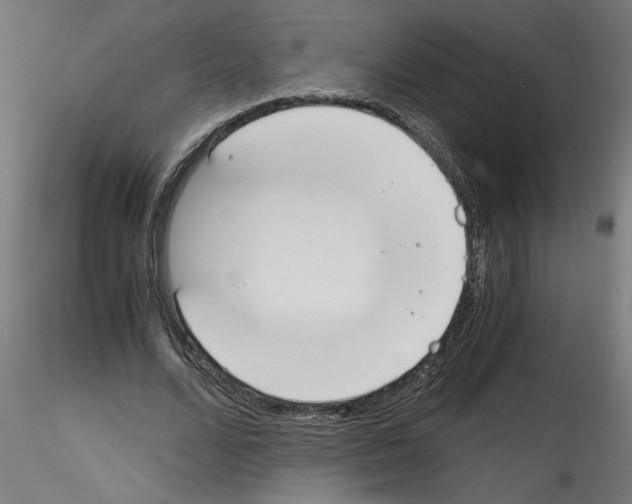 X0000114590680200911301400